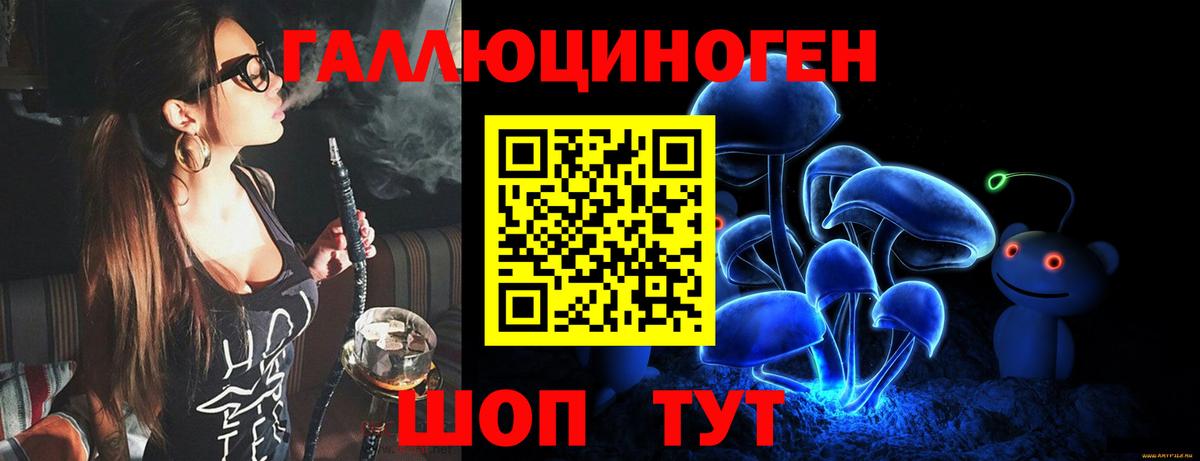 Галлюциногенные грибы Psilocybe Анапа
